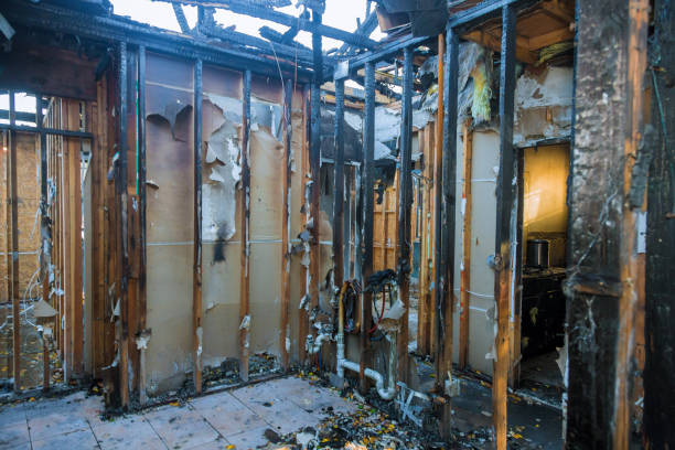 Professional Soot Cleanup technician working in Glenview, KY